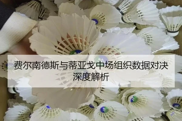 费尔南德斯与蒂亚戈中场组织数据对决深度解析